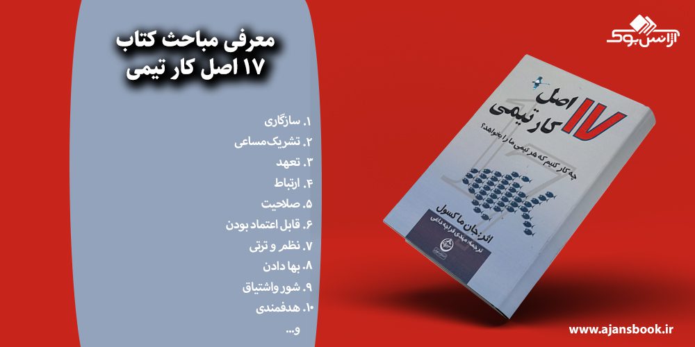 17 اصل کار تیمی