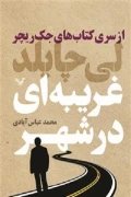 کتاب مجموعه لی چاپلد جلد دوازدهم غریبه ای در شهر کتابسرای تندیس