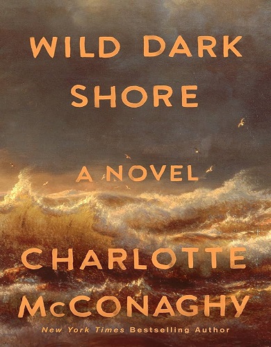 کتاب رمان انگلیسی Wild Dark Shore